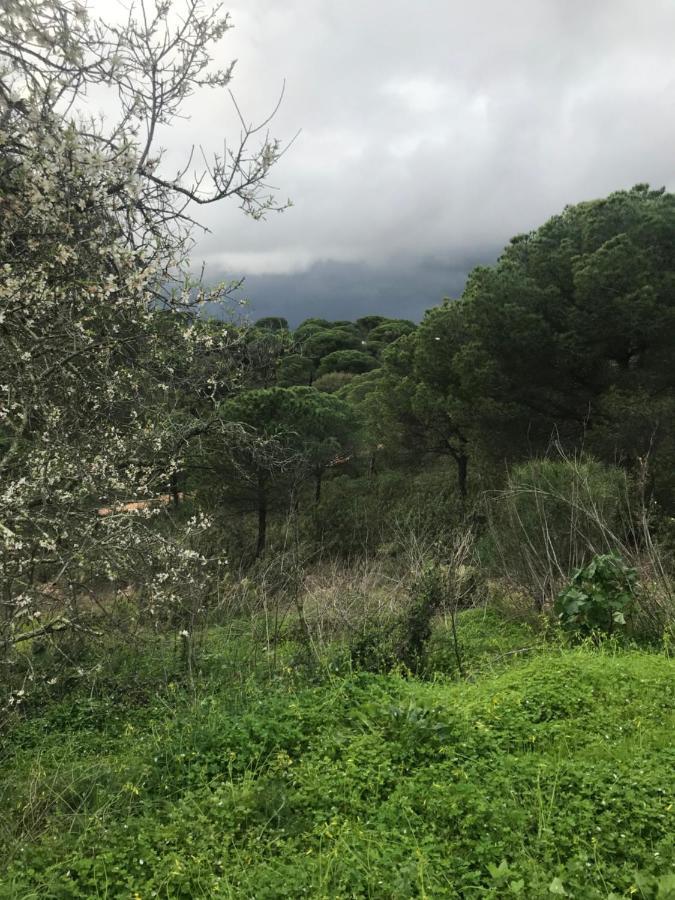 Finca Rustica Los Borrachos Аямонте Экстерьер фото